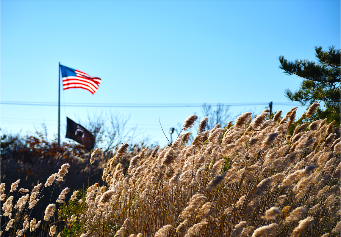 An american flag is flying over tall grasses.