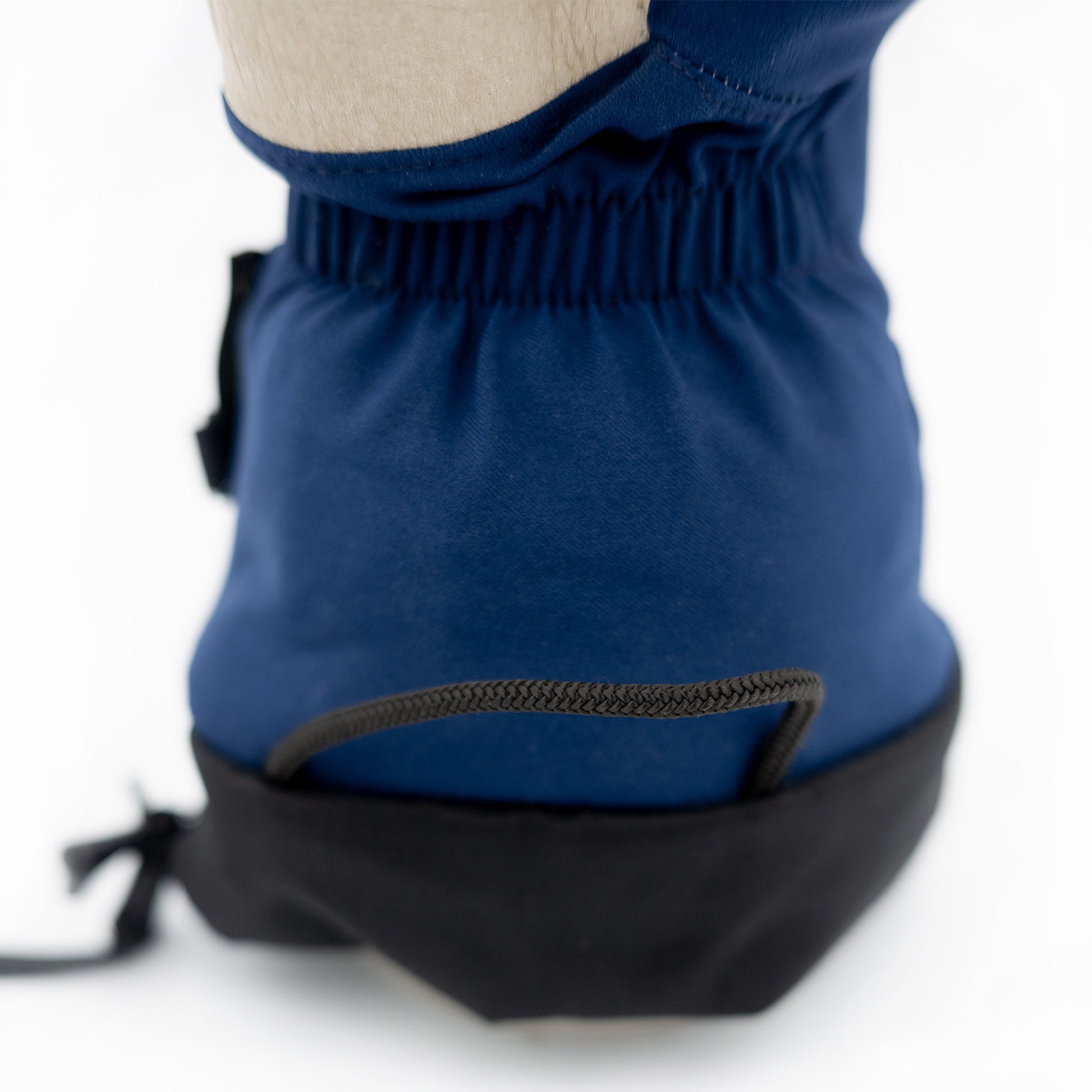 The back of a dog wearing a blue jacket designed with Mainers Mitts for enhanced durability.