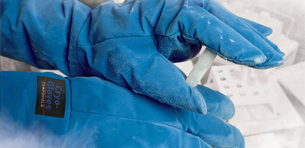 A person wearing blue gloves is holding a piece of ice.